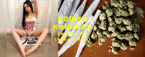 крисы Ладушкин