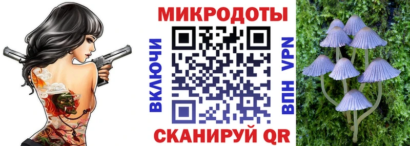 Купить  Подольск  Галлюциногенные грибы Magic Shrooms 